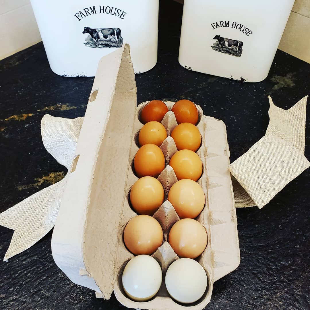 How To Tuesday: How to Clean Farm Fresh Eggs - Country Cleaver